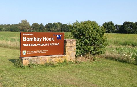 Bombay Hook National Wildlife Refuge 1