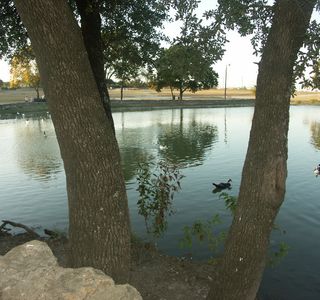 Copperas Cove City Park and Pool