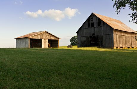 Blue Barn Farm