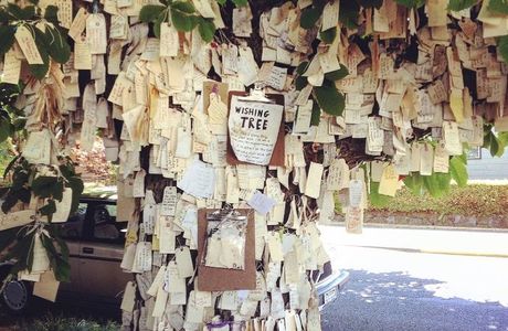 The Wishing Tree