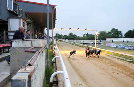 Harlow Greyhound Stadium