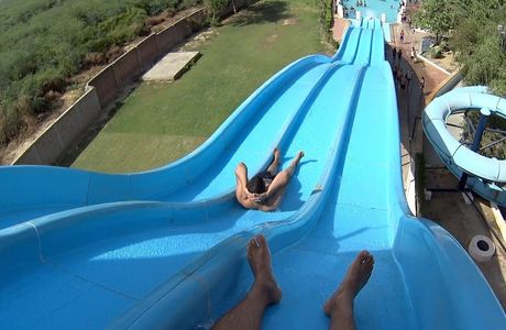 Dolphin Water World
