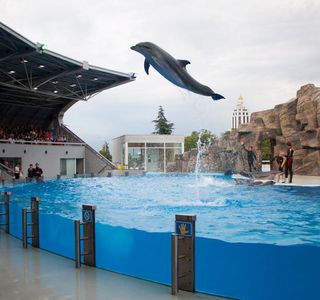 Batumi Dolphinarium