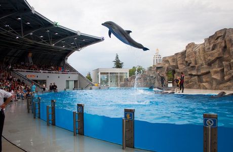 Batumi Dolphinarium