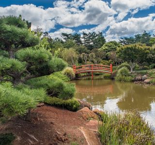 Mitsumata Pond Park