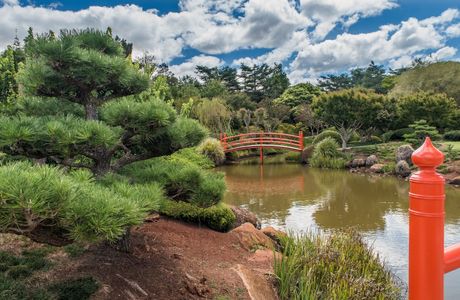 Mitsumata Pond Park