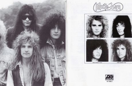 White Lion