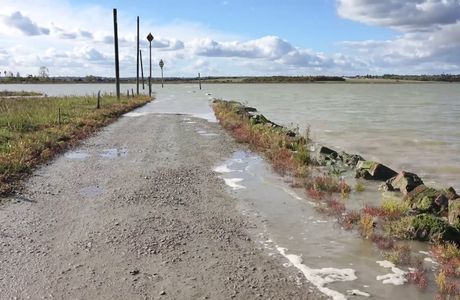 Blackwater Estuary