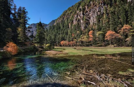 Grass Lake