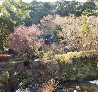 Atami Plum Garden