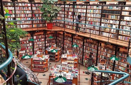 Broad-Leaved Forest Bookstore