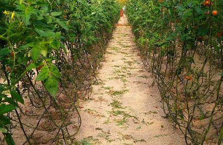 Clisol Turismo Agricola