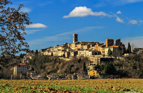 Chianti Cooking
