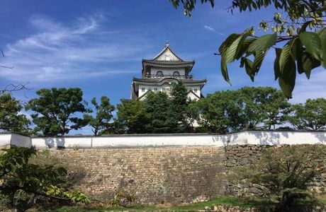 Gofuso Garden