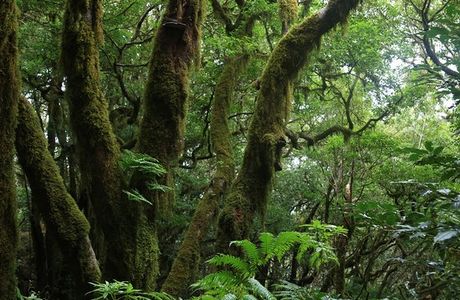 Sendero El Bosque Encantado