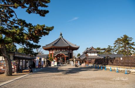 Kofuku-ji Temple