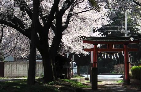 Iwatsuki Atago Shrine