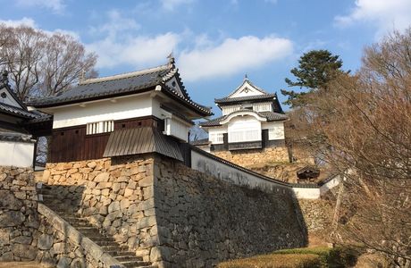 Bitchu Matsuyama Castle