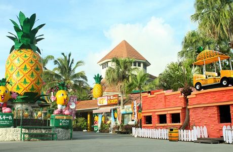 Nago Pineapple Park