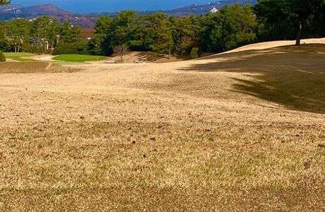 Ito Country Club