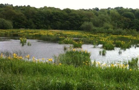 Rodley Nature Reserve