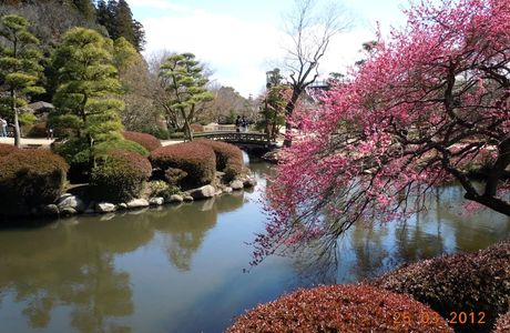 Sakasagawa Ryokuchi Park