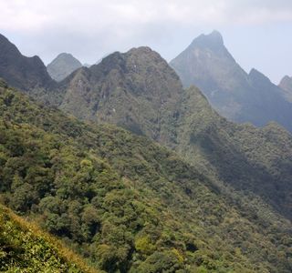 Hoang Lien National Park