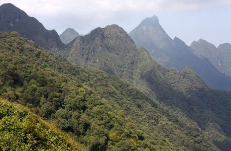 Hoang Lien National Park