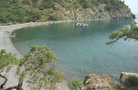 Paradise Bay