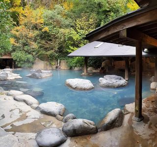 Natural Onsen Yunohana