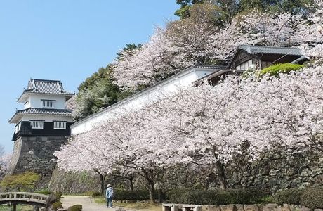 Torikabuto Nature School