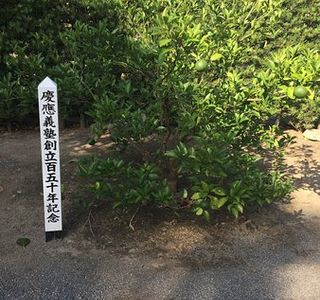 Yukichi Fukuzawa Memorial Museum