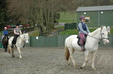 Croft Riding Centre
