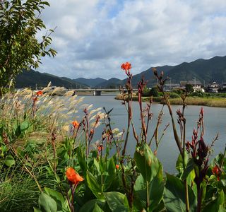 Aishima Island