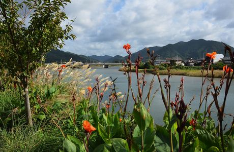 Aishima Island