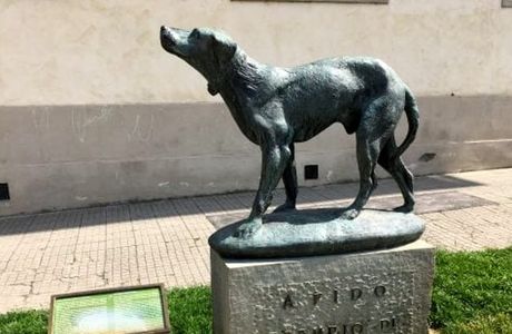 Monumento Al Cane Fido