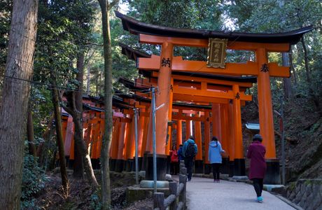Dainokimyo Shrine