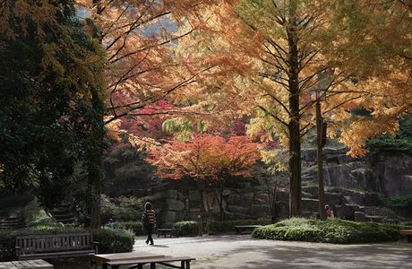 Hiroshima City Forestry Park