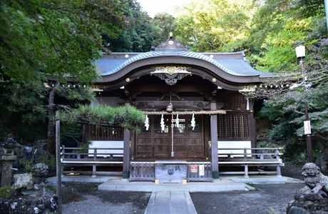 Tokyo Metropolitan Koganei Park