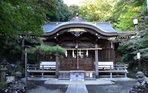 Tokyo Metropolitan Koganei Park 1