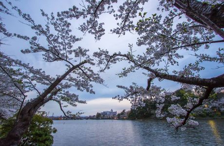 Takamatsu Park