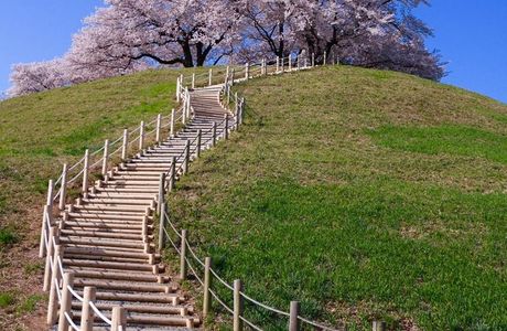 Minumamotoiri Park