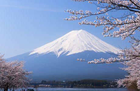 Mount Fuji Children's World