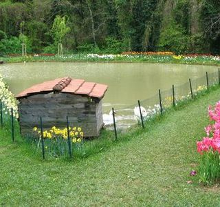 Villa Pescigola