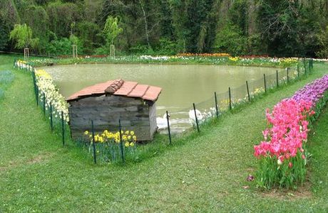 Villa Pescigola