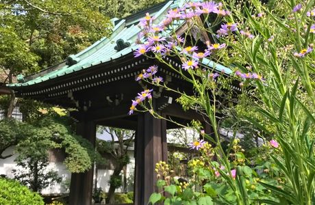 Kaizoji Temple