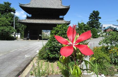 Daion-ji Temple