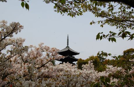 Sotoku-ji Temple
