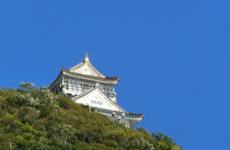 Gifu Gokoku Shrine