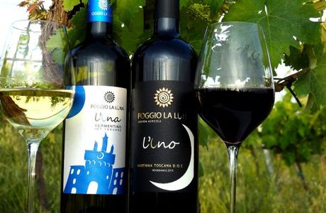 Azienda Agricola Poggio La Luna